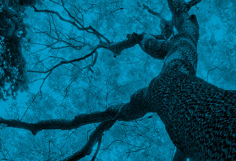 T16AMR 工业机器人洗地机