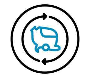 Equipment Reconditioning Process