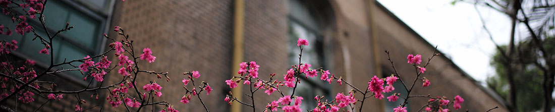 Spring flowers at a school
