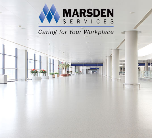 Estudio de caso de éxito de la puesta en marcha en Marsden South