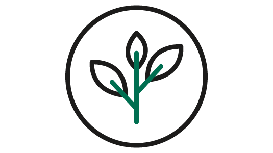 Minimize o impacto ambiental