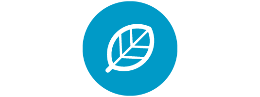 Sustentabilidade: Limpeza para impacto na saúde e no ambiente